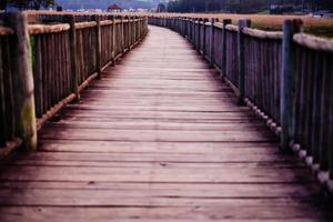 chemin de bois vide photo