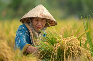 ai généré vietnamien agriculteur rassemblement riz photo