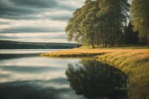 une chemin pistes à une Lac entouré par des arbres photo