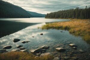 une Lac entouré par des arbres et herbe photo