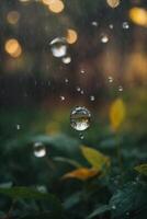 Contexte de pluie sur flou bokeh photo