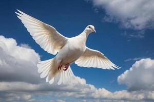 une blanc Colombe en volant dans le ciel photo