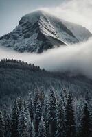 une Montagne couvert dans neige et des arbres photo