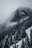 une Montagne couvert dans neige et des arbres photo