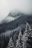 une Montagne couvert dans neige et des arbres photo