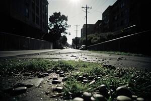 herbe et rochers sur le trottoir photo