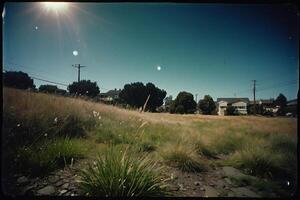 une herbeux zone avec des arbres et une Soleil brillant par photo