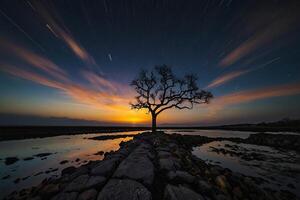 ai généré une seul arbre des stands sur le rive de une Lac à le coucher du soleil photo