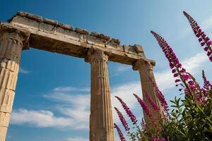 le ruines de le temple de Apollon à éphèse, dinde photo