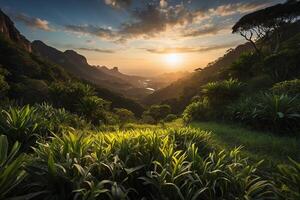 le Soleil ensembles plus de le montagnes et végétation photo