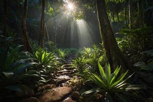 une courant court par une luxuriant jungle photo