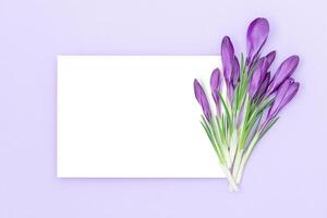 vacances Contexte avec isolé blanc milieu partie entouré par violet toile de fond et une bouquet de fleurs sur le droite côté photo