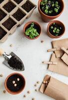 des pots avec divers des légumes semis. photo