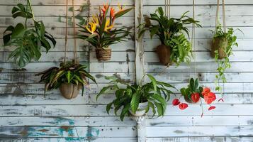 luxuriant intérieur les plantes création une vibrant et calmant jardin atmosphère photo