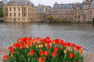 le ville de tanière haag dans Hollande photo