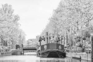 le ville de tanière haag dans Hollande photo