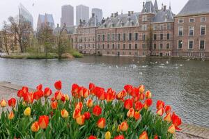 le ville de tanière haag dans Hollande photo