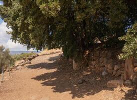 vide vieux saleté route et ancien pierre mur dans historique endroit dans Israël. ancien ville dans désert photo