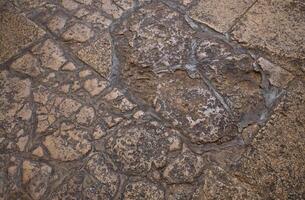 vieux pierre route. ancien Roche mur. une historique pierre dans Israël photo