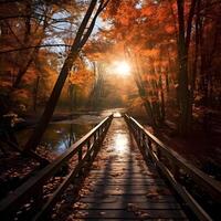 en bois pont dans le l'automne forêt à le coucher du soleil. la nature Contexte. photo