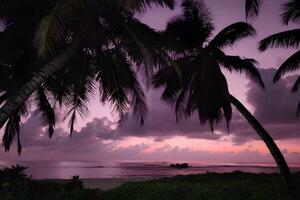 art magnifique le coucher du soleil plus de le tropical plage photo