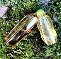 olive pétrole dans une bouteille sur mousse herbe Contexte et plâtre photo