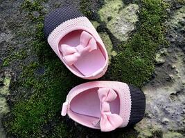 mignonne peu bébé des chaussures rose et noir Couleur sur plâtre et mousse les plantes Contexte photo