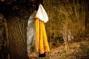 solitude dans la nature photo