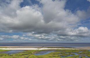 sel le marais avec avec coquille calcaire à côte de stufhusen,eiderstedt péninsule, nord mer, nord Frise, Wattenmeer, Allemagne photo