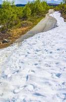 neige et glace dans le paysage d'été panorama de la norvège hemsedal. photo