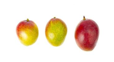 mangue rouge-verte mûre, juteuse et sucrée. fruits exotiques isolés sur blanc. studio photo
