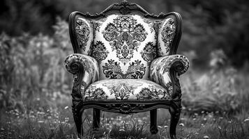 antique fauteuil noir et blanc à motifs élégant photo