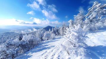 magnifique hiver la nature paysage incroyable Montagne photo