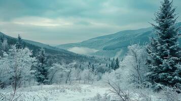 magnifique hiver la nature paysage incroyable Montagne photo