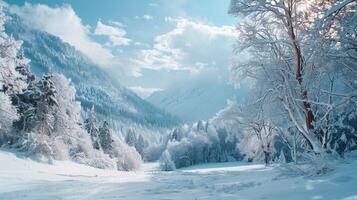 magnifique hiver la nature paysage incroyable Montagne photo