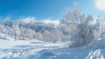 magnifique hiver la nature paysage incroyable Montagne photo