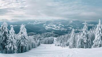 magnifique hiver la nature paysage incroyable Montagne photo