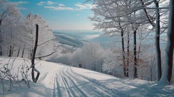 magnifique hiver la nature paysage incroyable Montagne photo