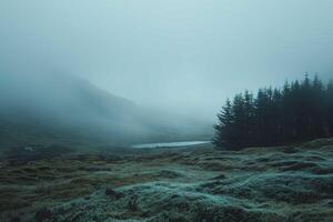 sombre paysage avec brouillard photo