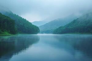 sombre paysage avec brouillard photo