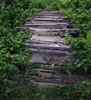 un vieux en bois pont avec mauvaises herbes couvrant le côtés. photo