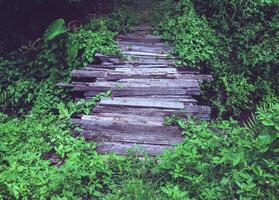 un vieux en bois pont avec mauvaises herbes couvrant le côtés. photo