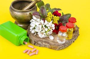 utilisation des plantes médicinales en médecine alternative. studio photo