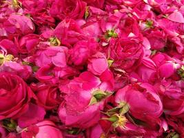 bouquet de rouge des roses Contexte photo