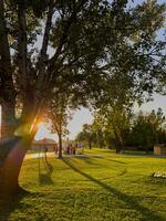 rive de Lac palique dans Serbie photo