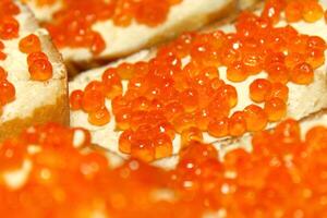 rouge caviar sandwich, fermer photo