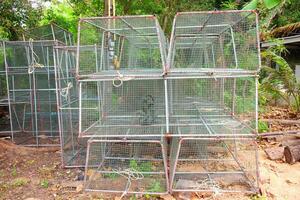 le fer cage pour contagieux poisson pour élevage poisson industriel dans Thaïlande photo