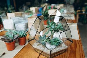 verre géométrique floraux, terrarium, avec succulent, sable, cailloux. métal Fait main vase planteur pour Accueil décor et table décoration photo