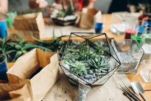 verre géométrique floraux, terrarium, avec succulent, sable, cailloux. métal Fait main vase planteur pour Accueil décor et table décoration photo