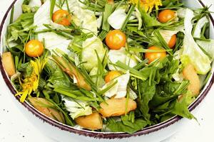 vert salade avec physalis et champ herbe photo